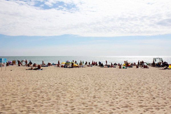 Грибівка. Море і пляж Море і пляж на узбережжі Грибівки